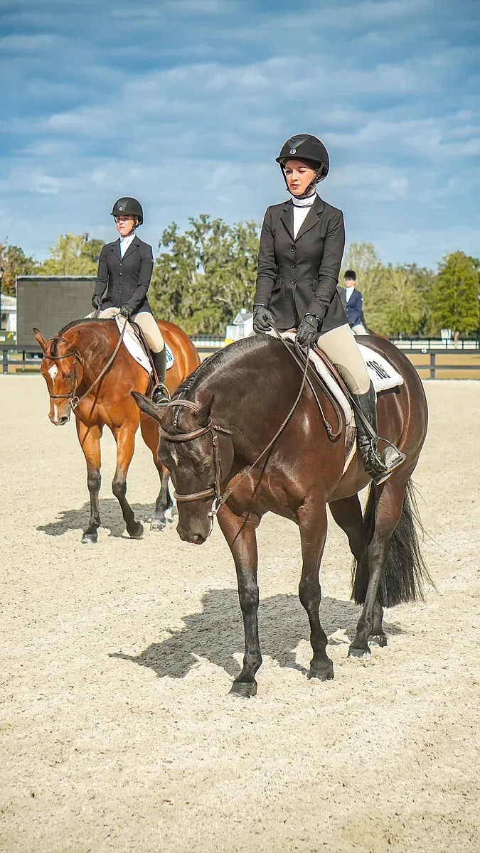 Competition Arena